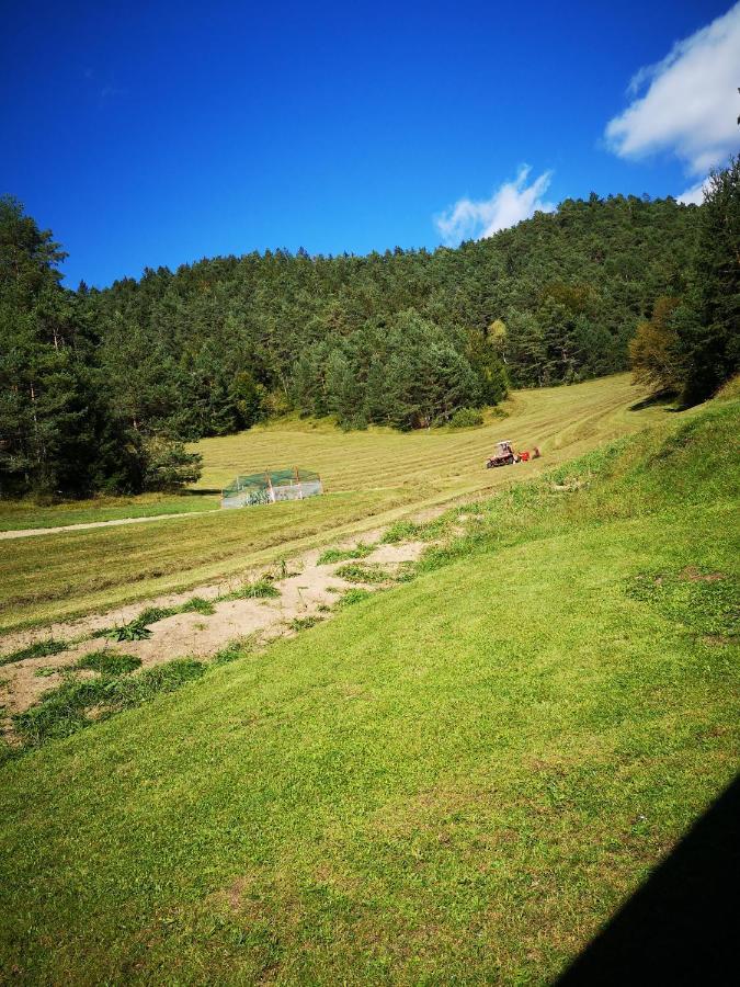 Valle Divina Mislinja Bagian luar foto