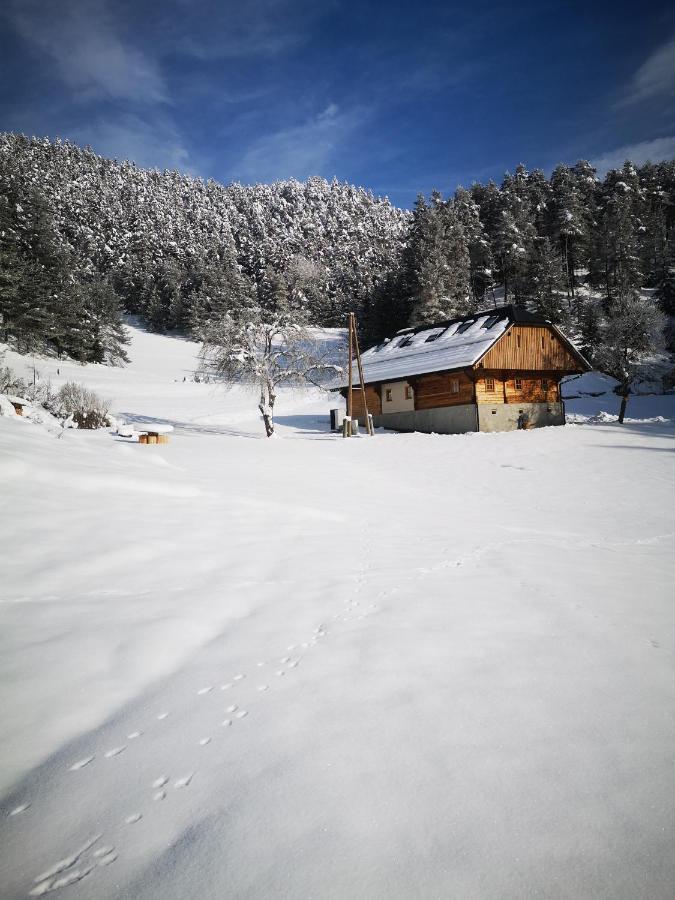 Valle Divina Mislinja Bagian luar foto